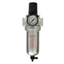 Air Regulator & Filter, 1/4" Inlet/Outlet, Wall Mounted